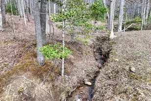 83 Nathans Path, Young Harris, GA 30582 - Photo 56