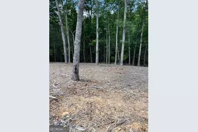 Lot 95 The Ridges, Morganton, GA 30560 - Photo 8