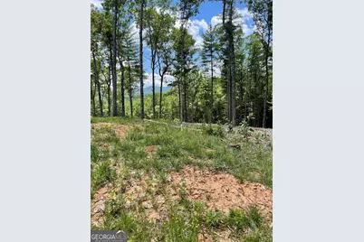 Lot 95 The Ridges, Morganton, GA 30560 - Photo 1