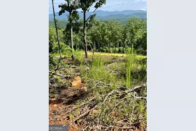 116 Highland Park, Blairsville, GA 30512 - Photo 16