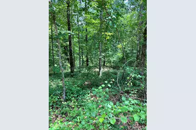 Lt1719 Rebekah Ridge Road, Talking Rock, GA 30175 - Photo 1