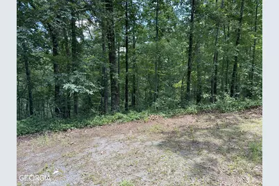 Lt1719 Rebekah Ridge Road, Talking Rock, GA 30175 - Photo 2