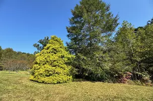 89 Simmons Rdg, Mineral Bluff, GA 30559 - Photo 68