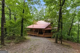 538 Galaxy Way NE, Ranger, GA 30734 - Photo 2