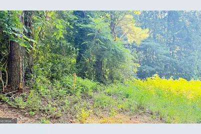 8 Sweetwater Bend, Villa Rica, GA 30180 - Photo 6