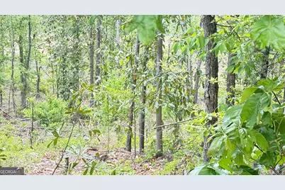 0 Hulseytown Road, Dallas, GA 30157 - Photo 2