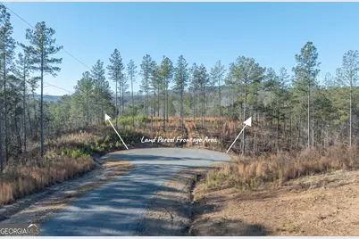 Lot 147 Creekside Crossing, Talking Rock, GA 30175 - Photo 4