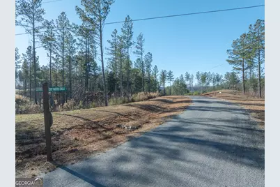 Lot 147 Creekside Crossing, Talking Rock, GA 30175 - Photo 12