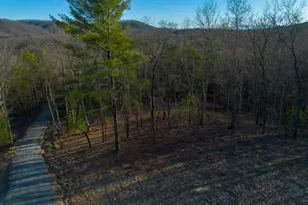 802 Mull Valley Rd, Morganton, GA 30560 - Photo 12