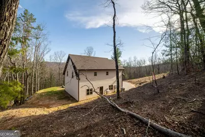 802 Mull Valley Road, Morganton, GA 30560 - Photo 48