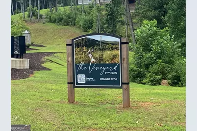 Lot 223 Oak Park Drive, Talking Rock, GA 30175 - Photo 4