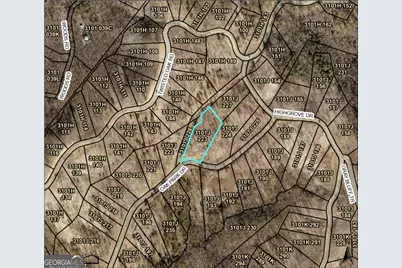 Lot 223 Oak Park Drive, Talking Rock, GA 30175 - Photo 2