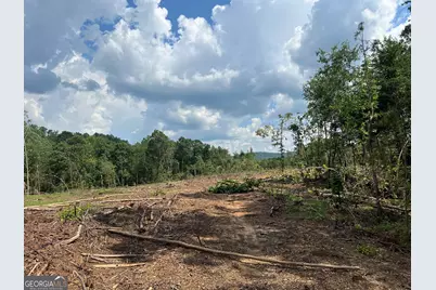 2055 Blacks Bluff Road, Rome, GA 30161 - Photo 10