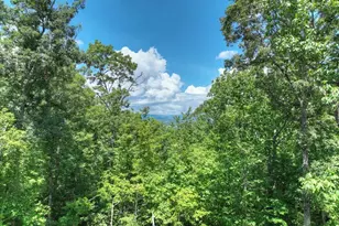 1170 Winchester Creek, Young Harris, GA 30582 - Photo 62