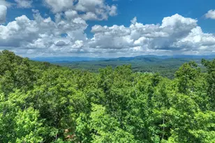 1170 Winchester Creek, Young Harris, GA 30582 - Photo 54