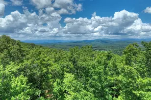 1170 Winchester Creek, Young Harris, GA 30582 - Photo 86