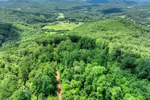 1170 Winchester Creek, Young Harris, GA 30582 - Photo 48