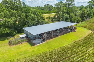 596 Teakwood Rd, Alma, GA 31510 - Photo 4