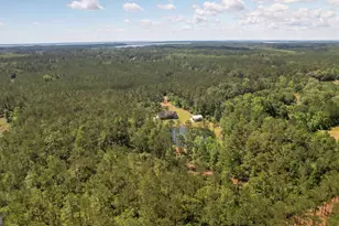 1653 Hawthorne Rd NE, Townsend, GA 31331 - Photo 70