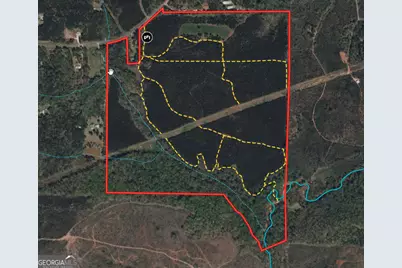 180.14 Ac Johnson Mill Road, Hamilton, GA 31811 - Photo 1