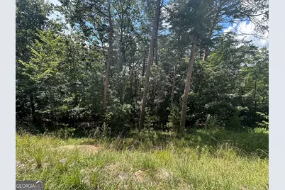 0 Oak Trace E, Jasper, GA 30143 - Photo 10