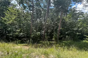 0 Oak Trce E, Jasper, GA 30143 - Photo 10