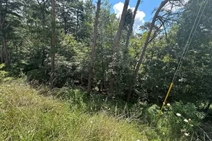 0 Oak Trce E, Jasper, GA 30143 - Photo 12