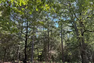 1324 Hwy 81 N Street N, Calhoun Falls, SC 29628 - Photo 10