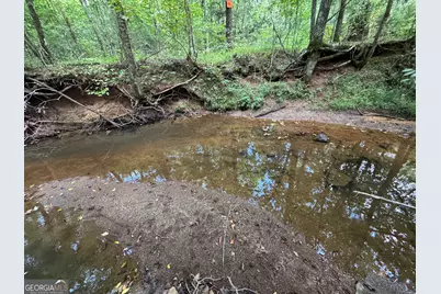 1324 Highway 81 No Street N, Calhoun Falls, SC 29628 - Photo 32