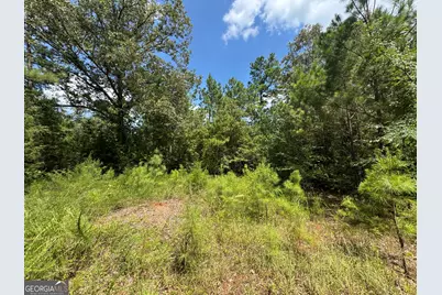 1324 Highway 81 No Street N, Calhoun Falls, SC 29628 - Photo 14