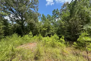 1324 Hwy 81 N Street N, Calhoun Falls, SC 29628 - Photo 14