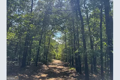 1324 Highway 81 No Street N, Calhoun Falls, SC 29628 - Photo 12