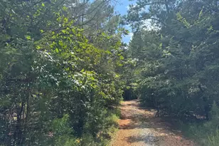 1324 Hwy 81 N Street N, Calhoun Falls, SC 29628 - Photo 38