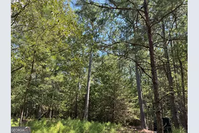 1324 Highway 81 No Street N, Calhoun Falls, SC 29628 - Photo 8