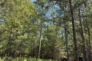 1324 Hwy 81 N Street N, Calhoun Falls, SC 29628 - Photo 8