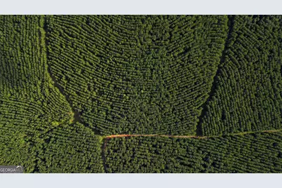 0 Newman Smith Road, Bartow, GA 30413 - Photo 10