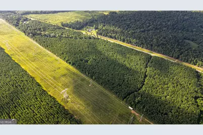 0 Newman Smith Road, Bartow, GA 30413 - Photo 8