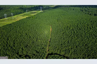 0 Newman Smith Road, Bartow, GA 30413 - Photo 1