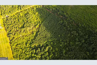 0 Newman Smith Road, Bartow, GA 30413 - Photo 2