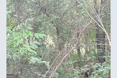 0 Lewis Road, Cartersville, GA 30121 - Photo 4