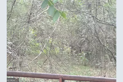 0 Lewis Road, Cartersville, GA 30121 - Photo 2