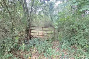 0 Lewis Rd, Cartersville, GA 30121 - Photo 1