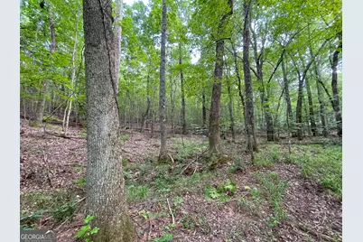 0 Old Yorkville Road, Dallas, GA 30157 - Photo 26