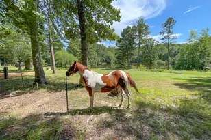 0 Old Yorkville Rd, Dallas, GA 30157 - Photo 4