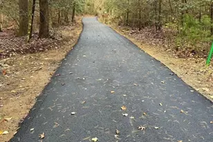 100 Reddick Drive, Blairsville, GA 30512 - Photo 20