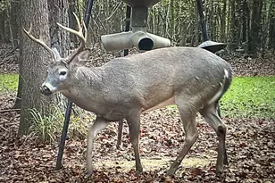 1050 Cedar Grove Dr, Buckhead, GA 30625 - Photo 112