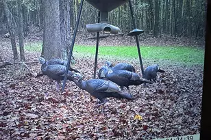 1050 Cedar Grove Dr, Buckhead, GA 30625 - Photo 114