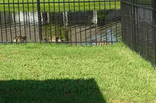 132 Ryan Nicholas Dr, Kingsland, GA 31548 - Photo 44