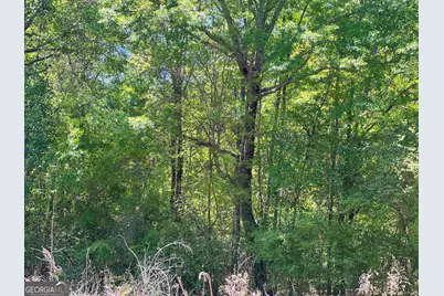 393 &amp; 381 Old Conyers Road, Stockbridge, GA 30281 - Photo 2