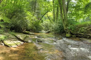 100 Stanley Creek Crossing, Blue Ridge, GA 30513 - Photo 4